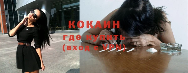 ГАЛЛЮЦИНОГЕННЫЕ ГРИБЫ Горняк
