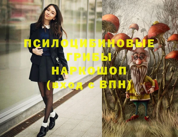 ГАЛЛЮЦИНОГЕННЫЕ ГРИБЫ Горняк