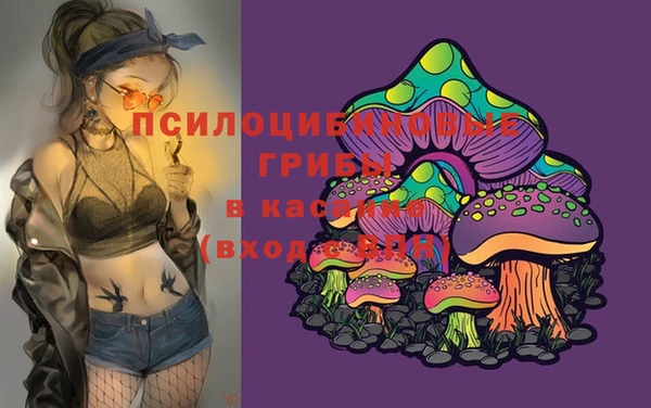 ГАЛЛЮЦИНОГЕННЫЕ ГРИБЫ Горняк
