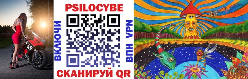 наркошоп  Дно  Псилоцибиновые грибы Psilocybine cubensis 