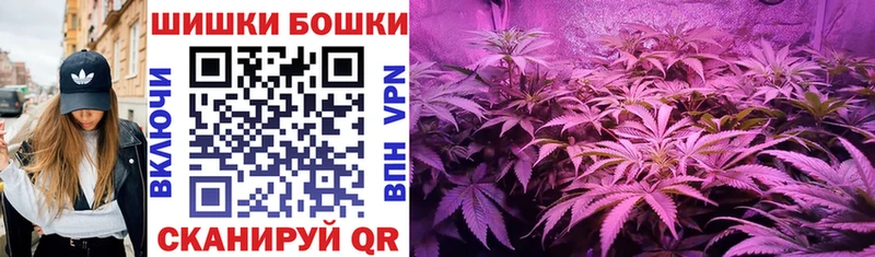 даркнет телеграм  Дно  Канабис OG Kush  ссылка на мегу ссылки 